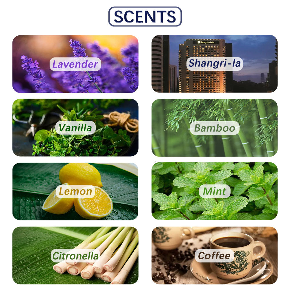 12StarSigns Reed Diffuser Perfume Scent